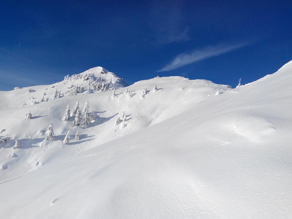 Ski&Bike Nassfeld Apartments Гермагор Номер фото